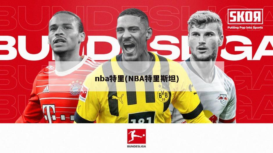 nba特里(NBA特里斯坦)