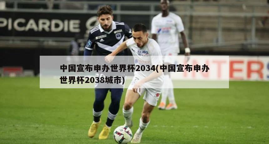 中国宣布申办世界杯2034(中国宣布申办世界杯2038城市)