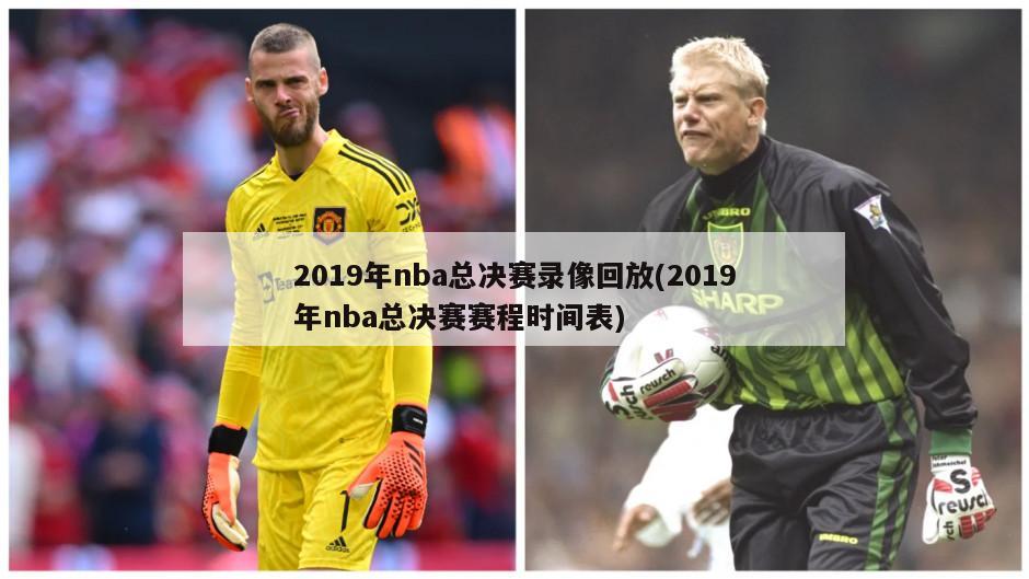 2019年nba总决赛录像回放(2019年nba总决赛赛程时间表)