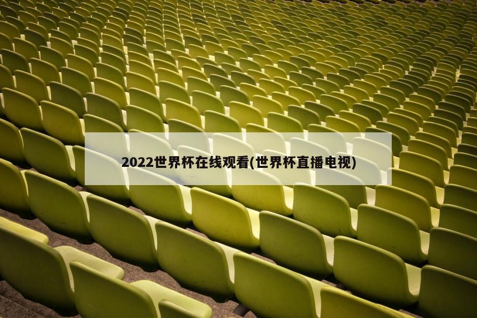 2022世界杯在线观看(世界杯直播电视)