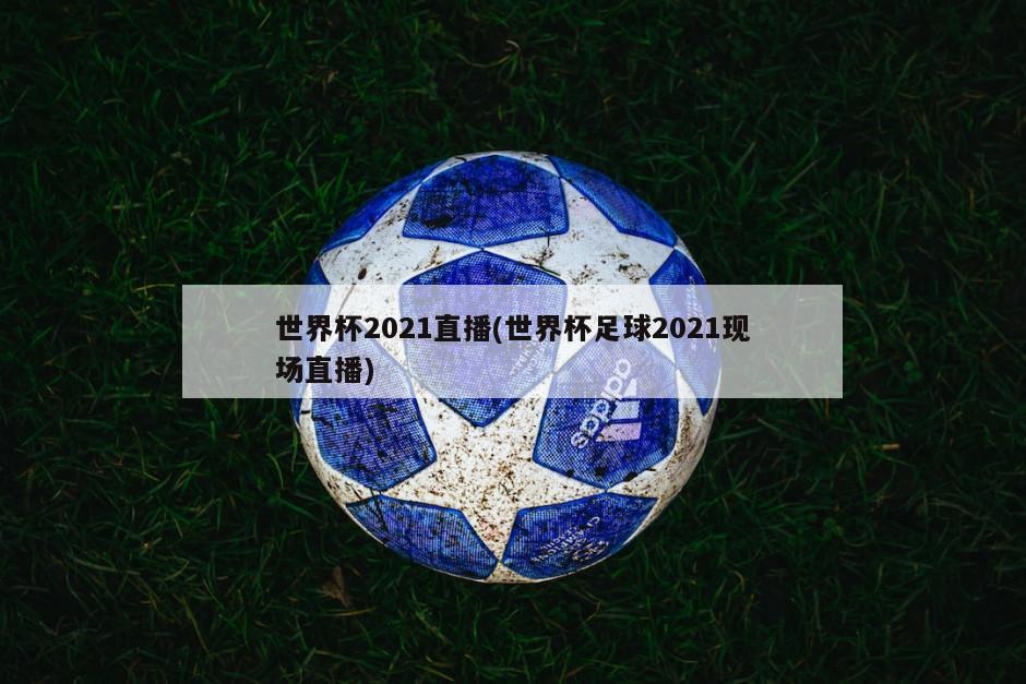 世界杯2021直播(世界杯足球2021现场直播)