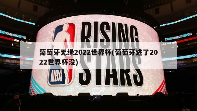 葡萄牙无缘2022世界杯(葡萄牙进了2022世界杯没)